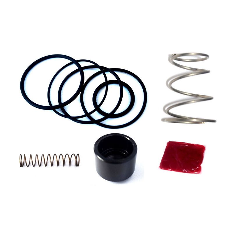 Kit de reparação da válvula de descarga Forge FMDVDS3AArray
