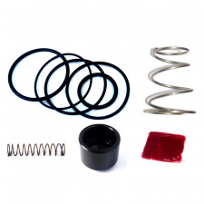 Kit reparación Válvula de Descarga Forge FMBM335DV1