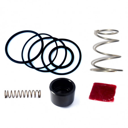 Kit reparación Válvula de Descarga Forge FMBM335DV1