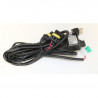 Cables H4 Bixénon