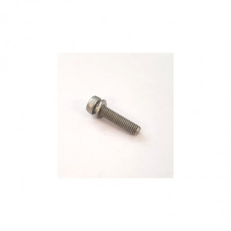 Tornillo Top Cover para carburador Weber (x2)
