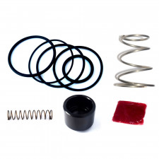 Kit de reparación de válvula turbo FMDVSPLTR