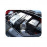Dynamic Intake Kit PIPERCROSS VIPER para Audi A3 Mk2 2.0 TFSI / S3 09/04 - Caixa de ar totalmente em carbono