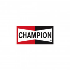 Bandera Champion 154x80cm