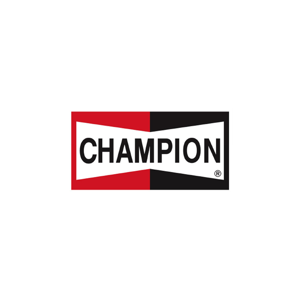 Bandera Champion 154x80cmArray