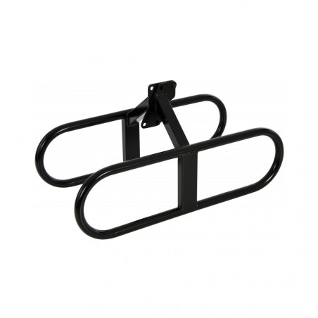Portamotor BG-Racing Ford Duratec