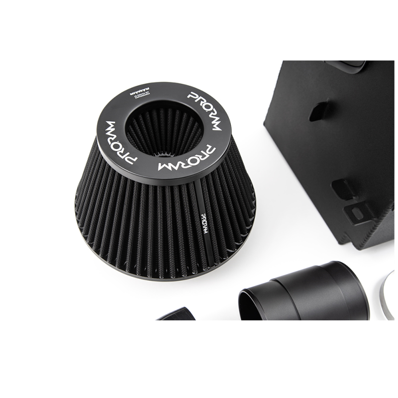 Kit de indução FORGE para Renault Megane 4 RS 280/300cvArray