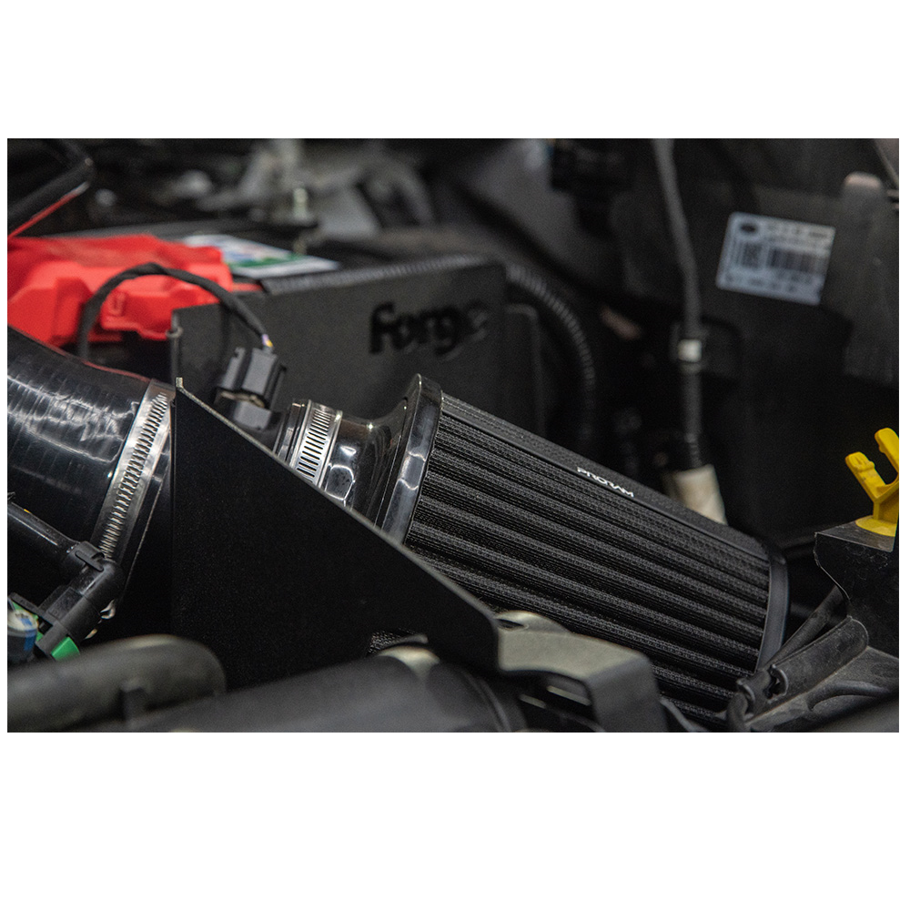 Kit de inducción Forge Ford Fiesta ST MK8/ Puma STArray