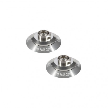 Clips Hans FIA8858-2010 Silver