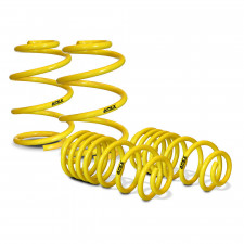 Kit de molas curtas APEX 70-4000