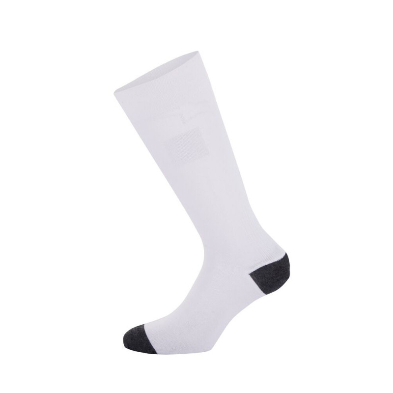 Calcetines Alpinestars ZX V4Array