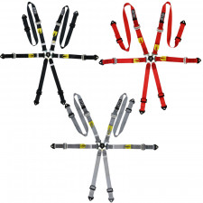 Pack 2x arneses GT2i Pro V3