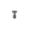Tornillo banjo M10x100 - L20mm Acero