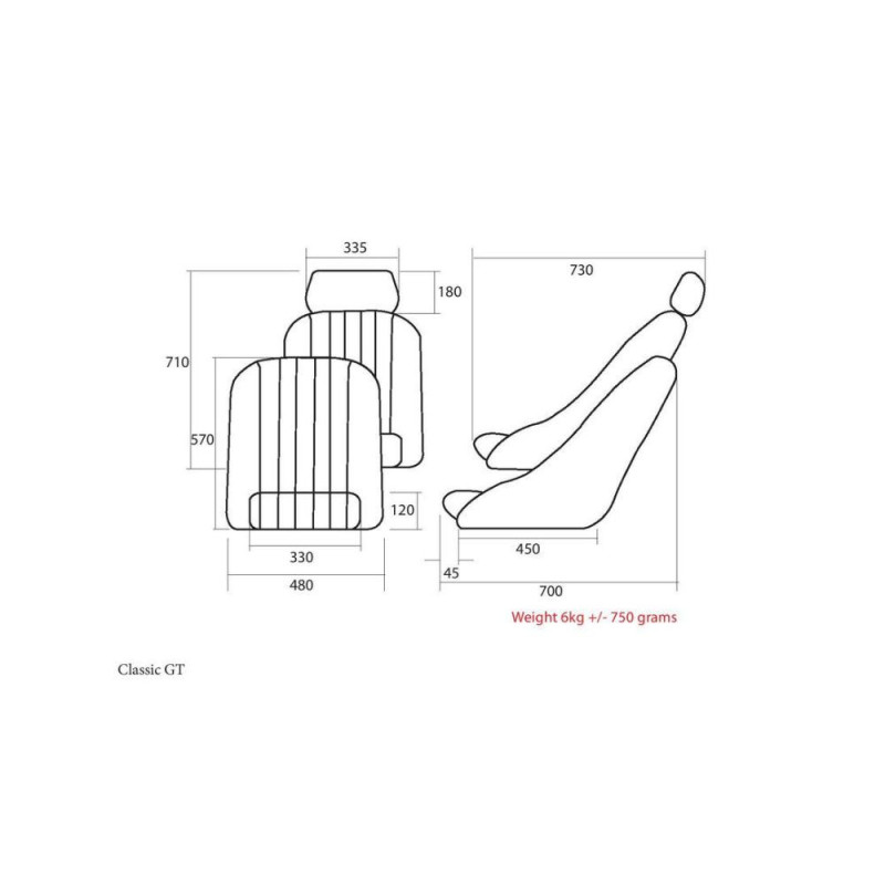 baquet  COBRA Classic GTArray