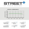 Pastilhas de travão Pagid T8070 Street+