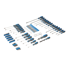 Juego de destornilladores y accesorios Silverine 100 uds.