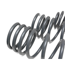 Muelles cortos Dynamic+ 034Motorsport para Audi A4 / Allroad (B9/B9.5)