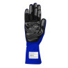 Guantes SPARCO LAND+ FIA