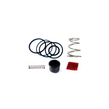 Kit de reparação de válvulas turbo FORGE FMDVF500R