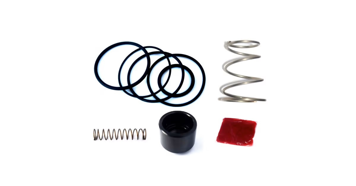 Kit de reparación de válvula turbo FORGE FMDVF500RArray