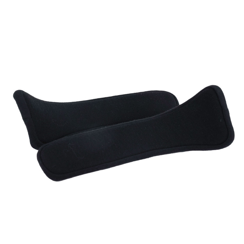Hans® IV 20° FIA 8858Array