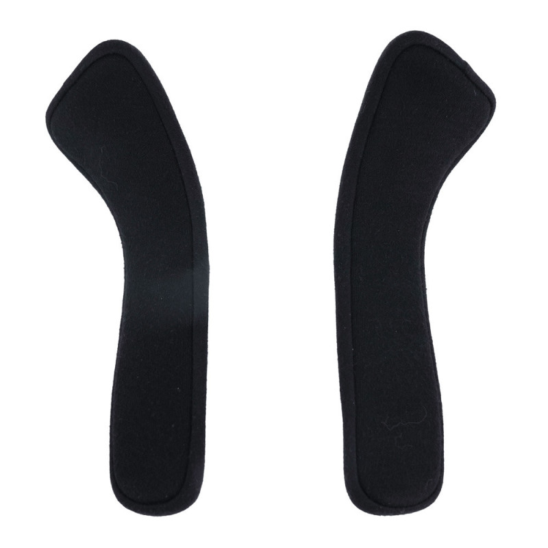 Hans® IV 20° FIA 8858Array