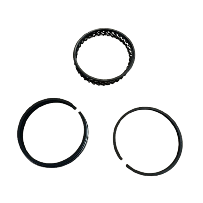 Conjunto de anéis NPR para 1 cilindro / diâmetro: 60 mm / 1 GN x 1,2 FE x 2,8 GNArray