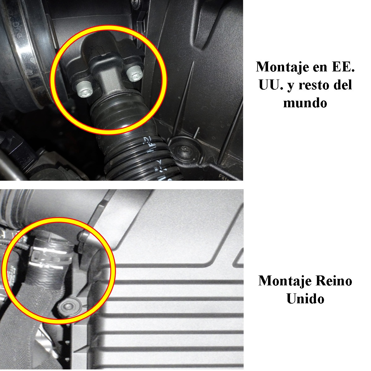 Manga da válvula de derivação Forge Audi RS3 / RSQ3 / TTRS / Cupra FormentorArray