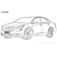 Silent Bloc Powerflex Cadillac XTS (2012-)