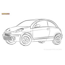 Silentblock Powerflex Citroen C3 Pluriel (2003 - 2010)