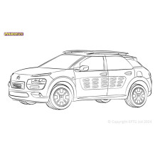 Silent Bloc Powerflex Citroën C4 Cactus (2014-)