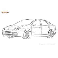 Silentblock Powerflex Citroen C5 (2000 - 2008)