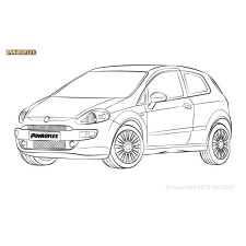 Silent Bloc Powerflex Fiat Punto Punto Evo (2009 - 2015)