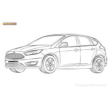 Silentblock Powerflex Ford Focus Mk3 (2011-2018)