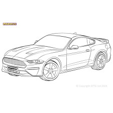 Silentblock Powerflex Ford Mustang (2015-2023)