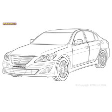 Silentblock Powerflex Hyundai Genesis BH (2008 - 2012)