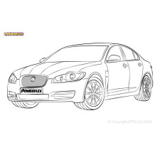Silent Bloc Powerflex Jaguar (Daimler) XF, XFR - X250 (2008 - 2015)