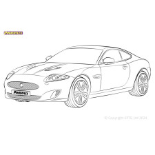 Silent Bloc Powerflex Jaguar (Daimler) XK, XKR - X150 (2006 - 2014)