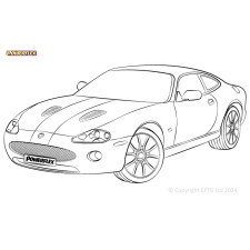 Silent Bloc Powerflex Jaguar (Daimler) XK8, XKR - X100 (1996 - 2006)