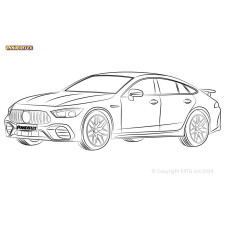 Silentblock Powerflex Mercedes-Benz AMG GT X290 (2018-)