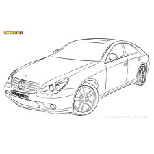 Silent Bloc Powerflex Mercedes-Benz CLS C219 (2004-2010)