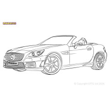 Silent Bloc Powerflex Mercedes-Benz SLK R172 (2011-2020)