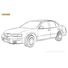 Silentblock Powerflex Nissan Maxima (1995 - 2013)