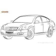 Silentblock Powerflex Nissan Teana J51 (2003 - 2009)