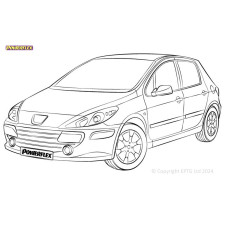 Silentblock Powerflex Peugeot 307 (2001-2011)