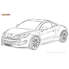 Silent Bloc Powerflex Peugeot RCZ (2009-)