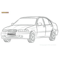 Silent Bloc Powerflex Rover 400 & 45 HH-R (1995 - 2005)