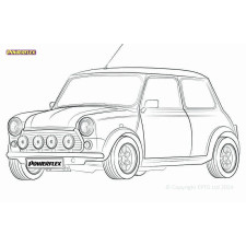 Silentblock Powerflex Rover Mini (1959 - 2000)