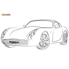 Silent Bloc Powerflex TVR Tuscan (1999 - 2006)
