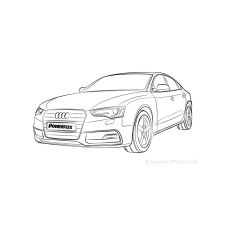 Silentblock Powerflex Audi A5 (2007-2016)